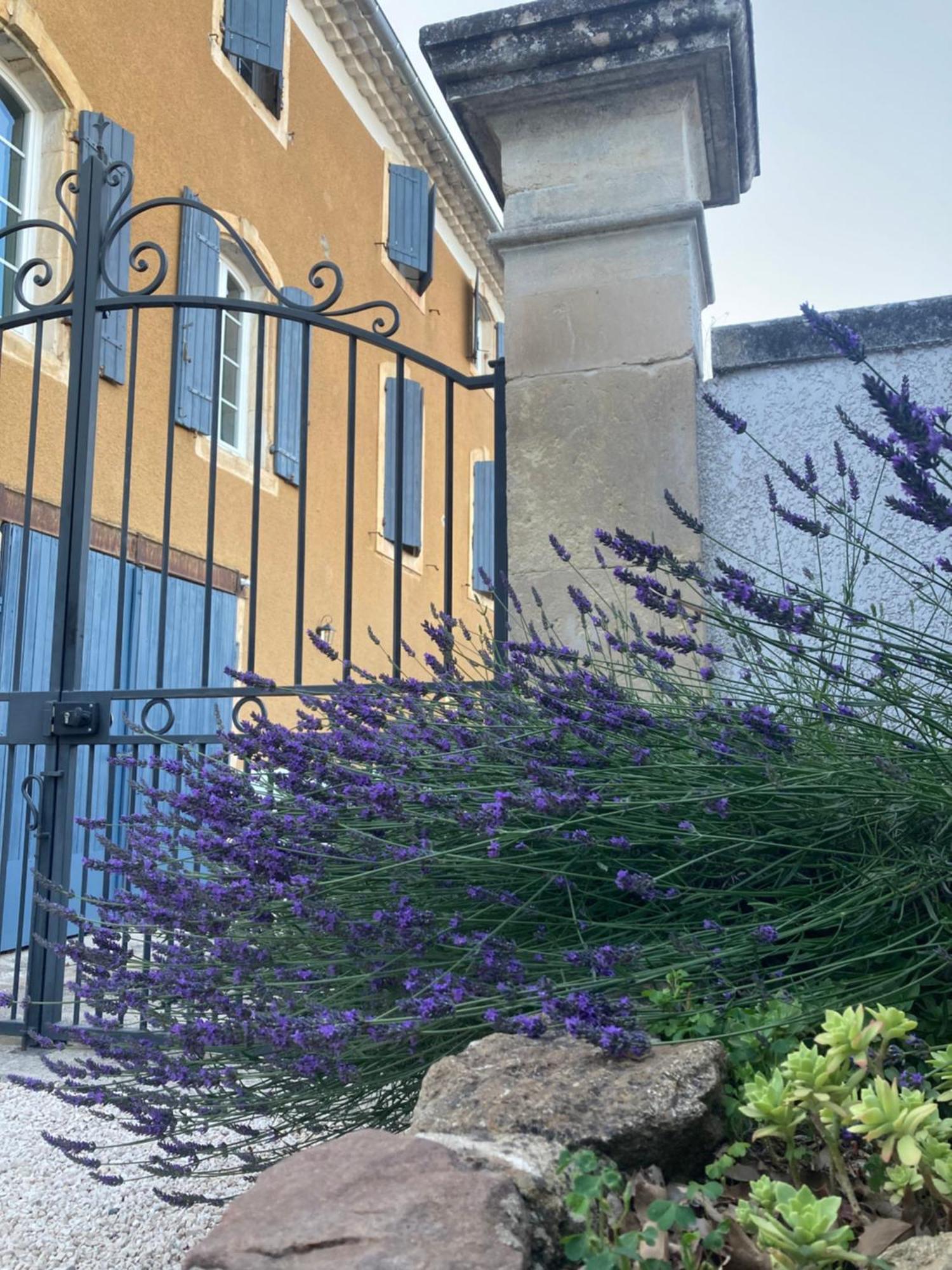 Domaine Forvent Bed & Breakfast Saint-Julien-de-Peyrolas Exterior foto