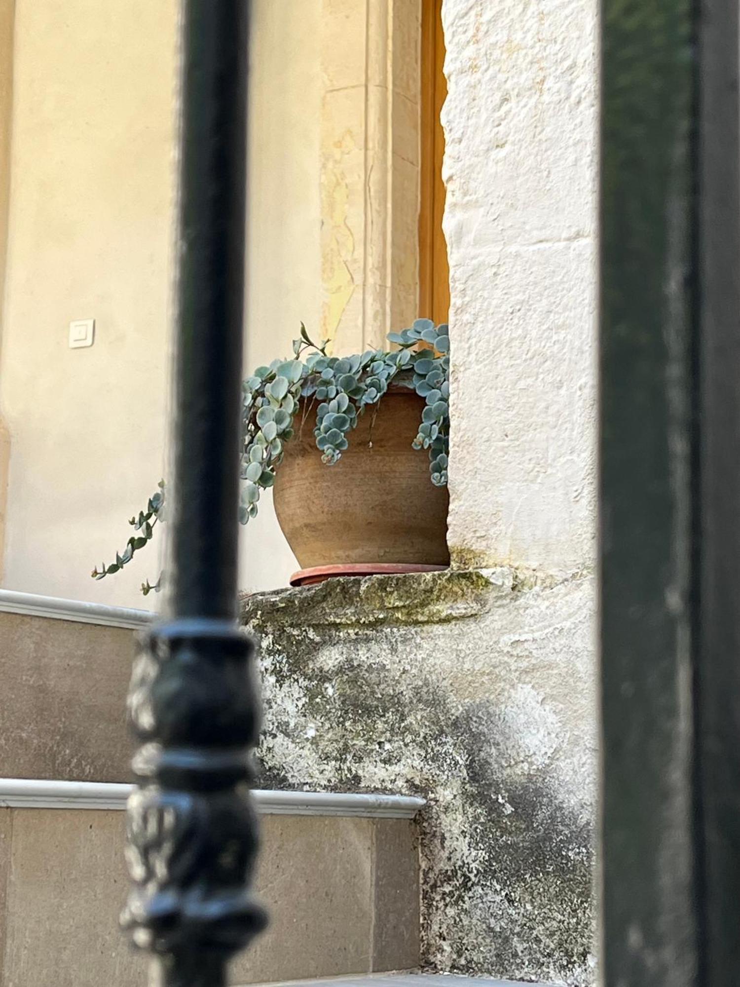 Domaine Forvent Bed & Breakfast Saint-Julien-de-Peyrolas Exterior foto