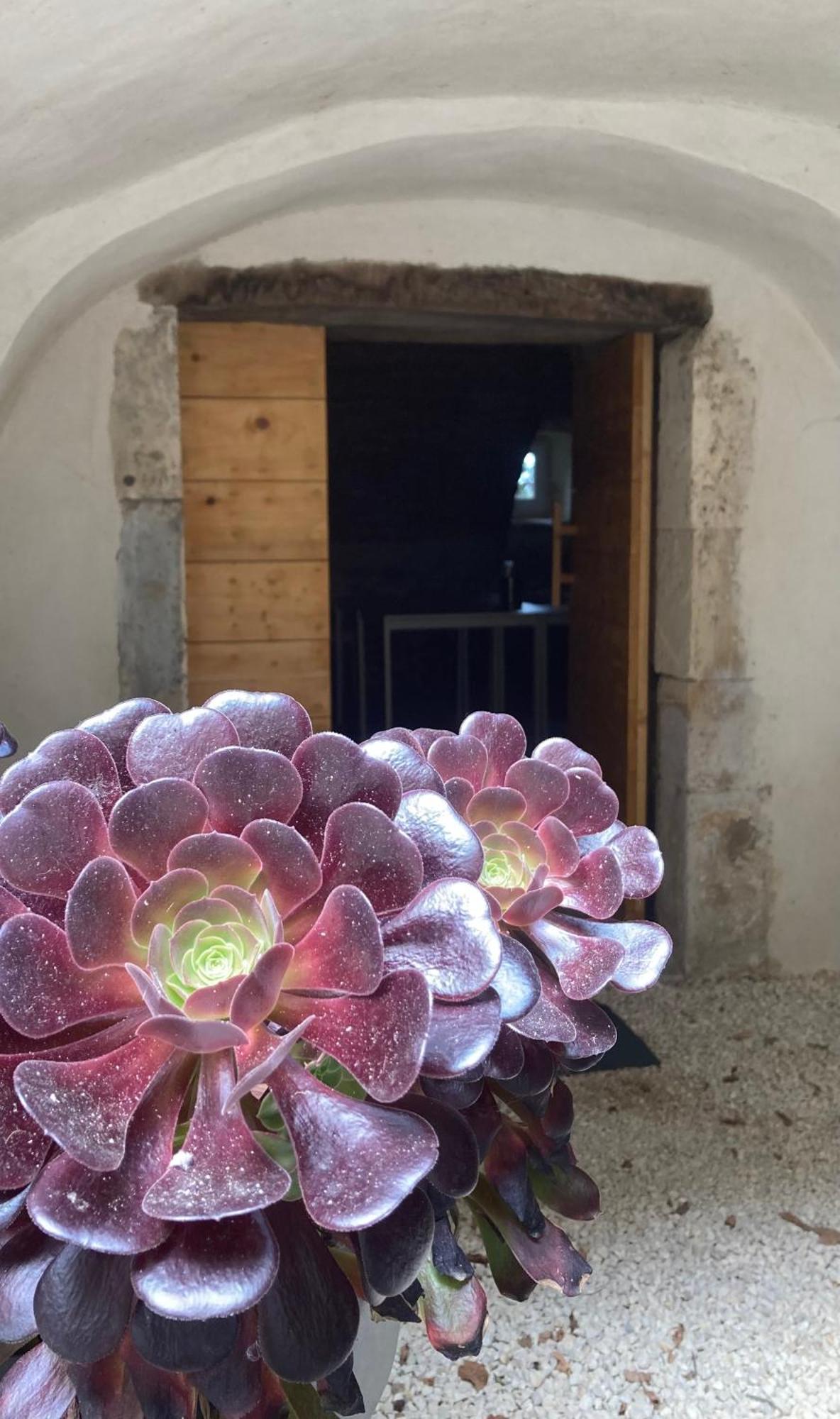 Domaine Forvent Bed & Breakfast Saint-Julien-de-Peyrolas Exterior foto